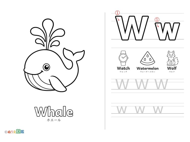 Free printable Alphabet "W" coloring page