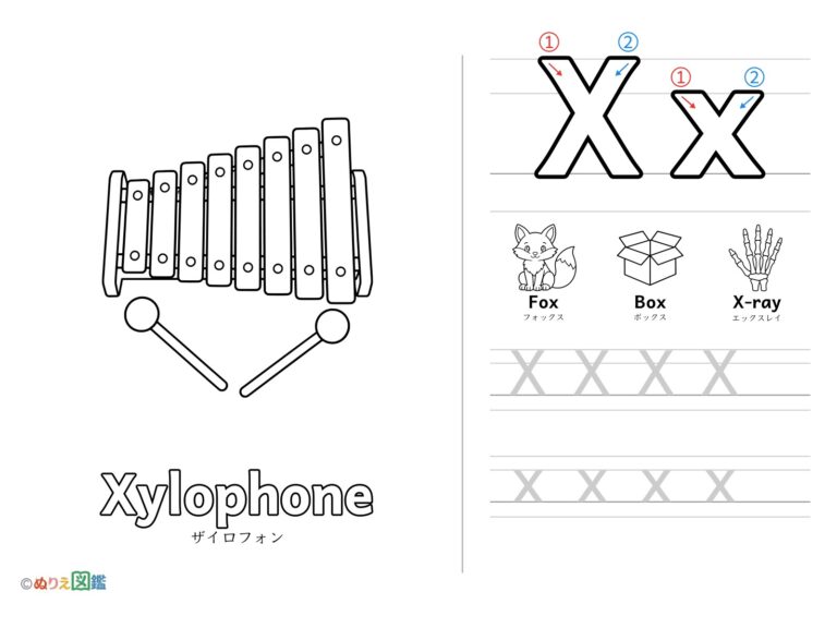 アルファベット「X」の無料塗り絵イラスト（知育・高齢者レク用）