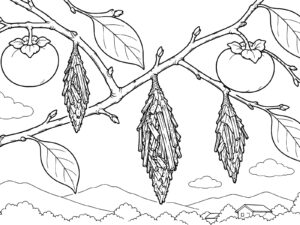 Free printable Bagworm on a persimmon tree coloring page