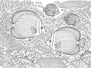 チョウチョウウオの無料塗り絵イラスト（知育・高齢者レク用）