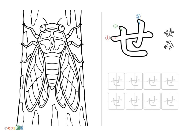 ひらがな「せ」の無料塗り絵イラスト（知育・高齢者レク用）
