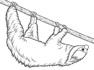 ナマケモノの無料塗り絵イラスト（知育・高齢者レク用）