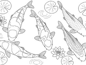 スイレンの池のニシキゴイの無料塗り絵イラスト（知育・高齢者レク用）