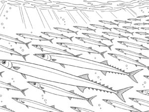 Free printable Shoal of Pacific sauries coloring page