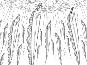 Free printable Cutlassfish coloring page