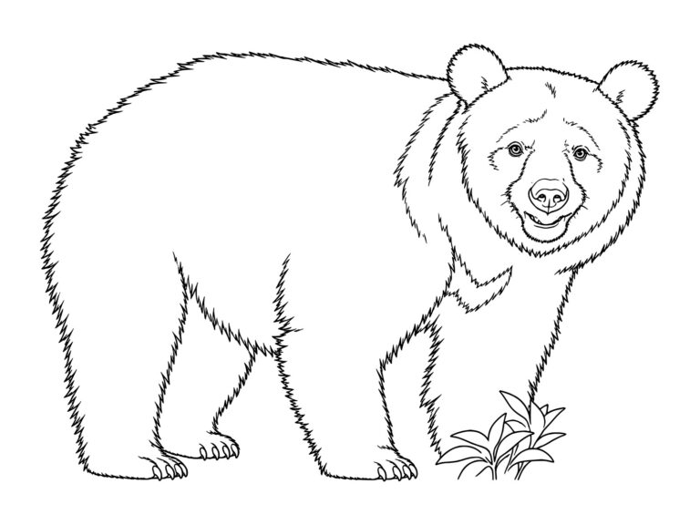 ツキノワグマの無料塗り絵イラスト（知育・高齢者レク用）