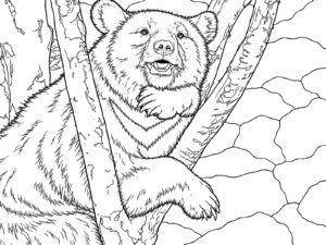 木につかまるツキノワグマの無料塗り絵イラスト（知育・高齢者レク用）